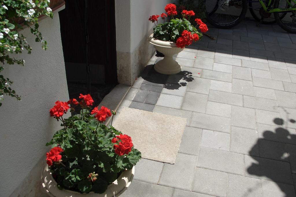 Apartment Vesna Zadar Cameră foto